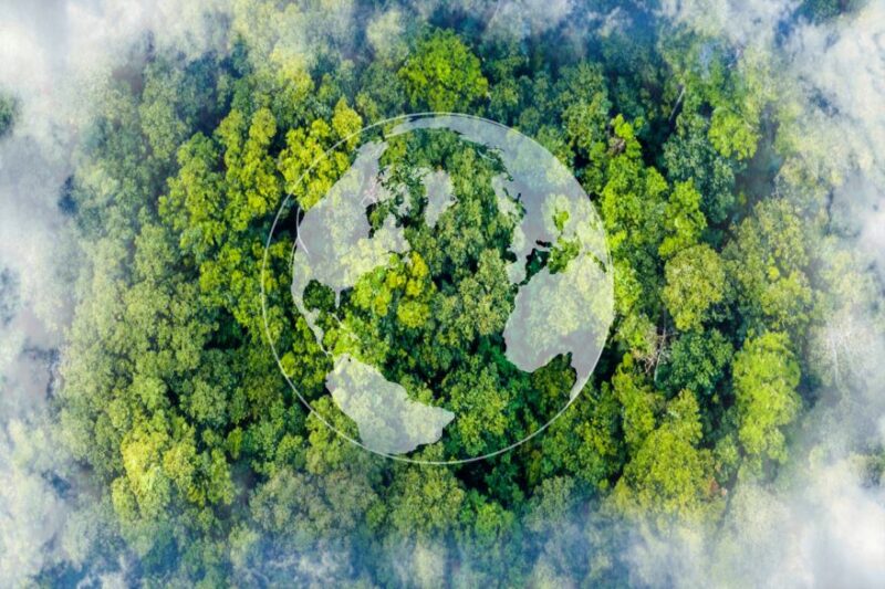 Sustainability Services