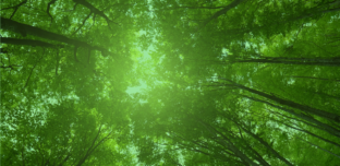 Alexander Wunderlich